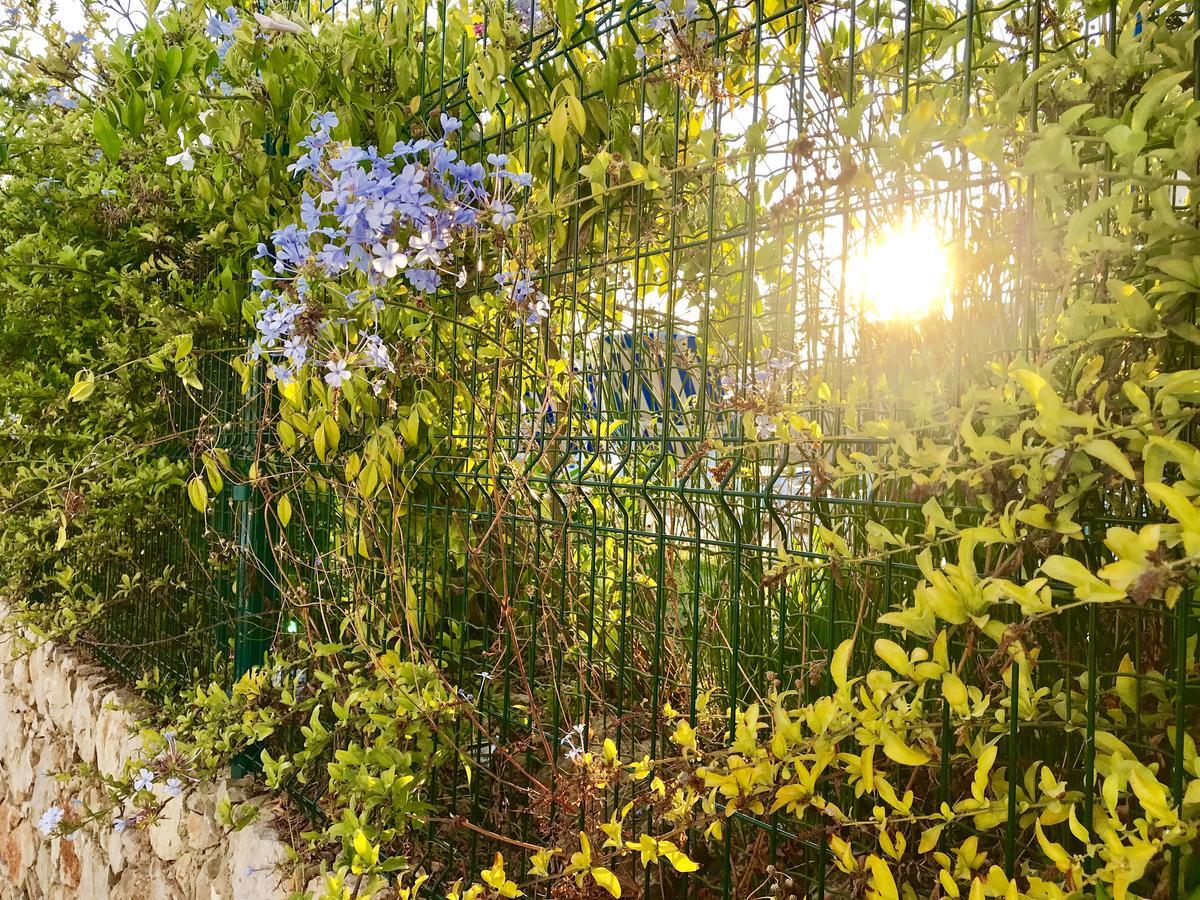 Marina Garden By Ethnic Ocean Διαμέρισμα Βιλαμούρα Εξωτερικό φωτογραφία